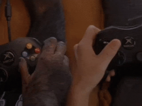 Grandmas Boy You Got Skill Monkey GIF