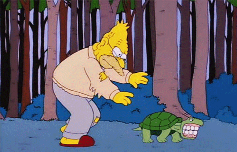 Grandpa Simpson Chasing Turtle That's Wearing His Dentures GIF