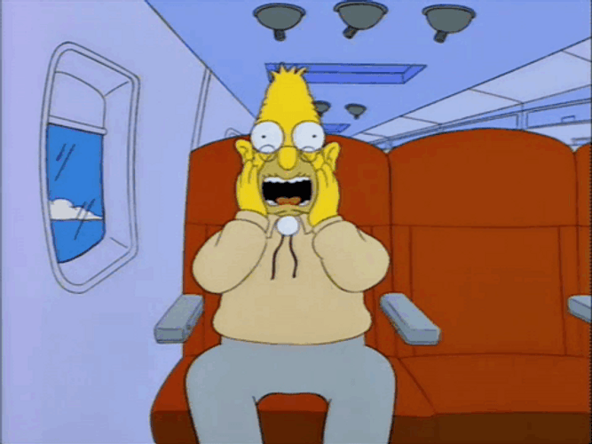 Grandpa Simpson Terrified Screaming Inside Plane GIF