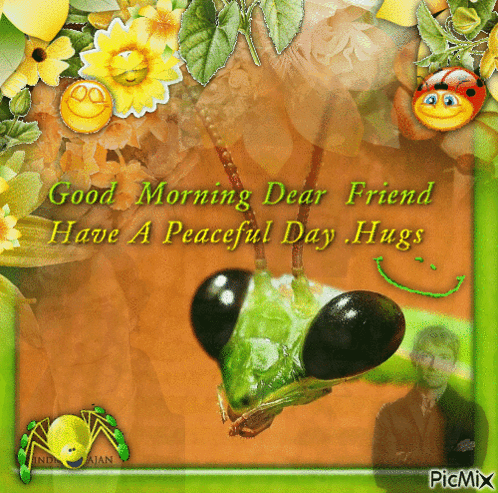 Grasshopper Saying Good Morning Dear Friend Have A Peaceful Day Hugs GIF