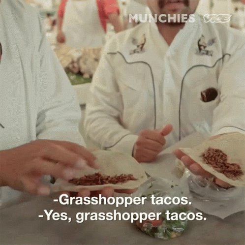 Grasshopper Tocos Very Delicious GIF