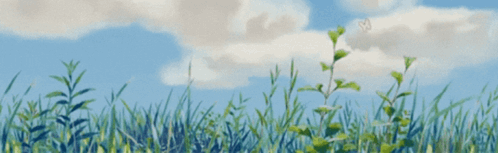 Grassy Field With White Letter W