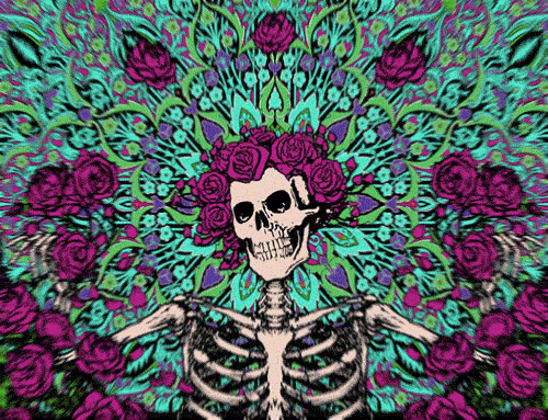 Grateful Dead Album Cover Skeleton And Roses GIF