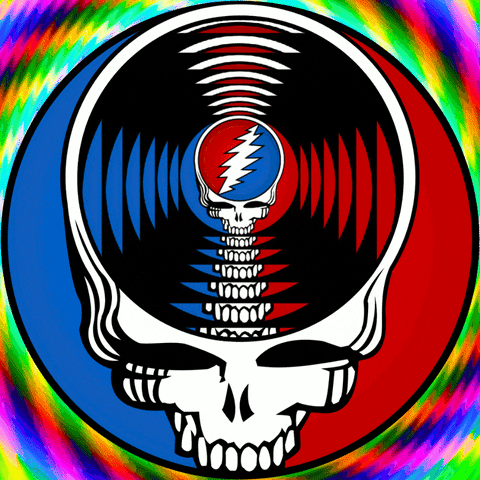 Grateful Dead Skull With Spinning Vinyl Record GIF