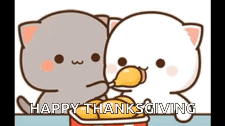 Gray And White Thanksgiving Cat Sweet GIF