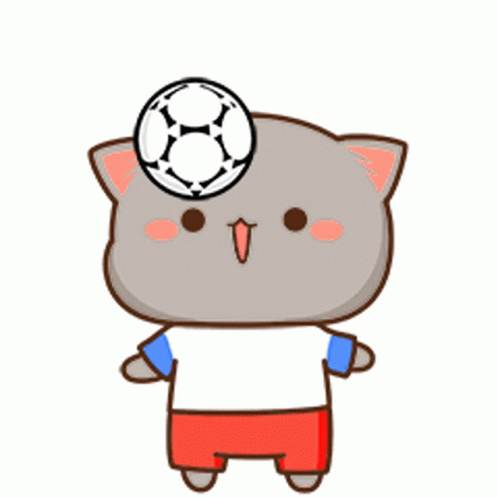 Gray Cat Football Time GIF