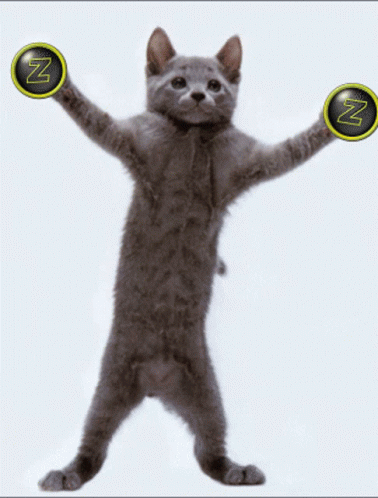 Gray Cat Holding Z Circles GIF