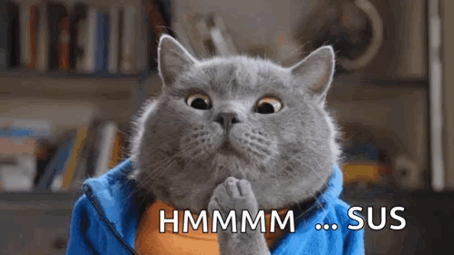 Gray Cat in Blue Jacket Saying Hmmm Sus