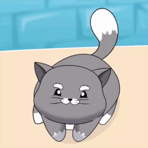 Gray Cat with White Paws and White Tail