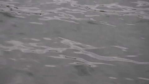 Gray Color Moving Water GIF