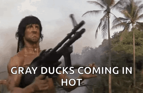 Gray Ducks Coming In Rambo Machine Gun GIF