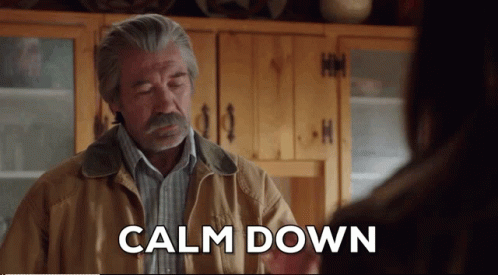 Gray-Haired Man With Mustache Says Calm Down In Kitchen GIF