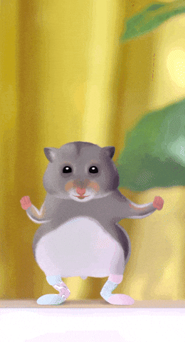 Gray Hamster Dance Body Arm Shake GIF