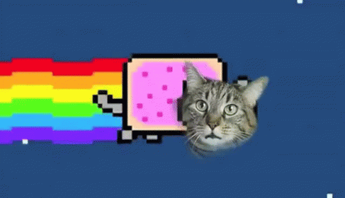 Gray Poptart Real Talking Cat GIF