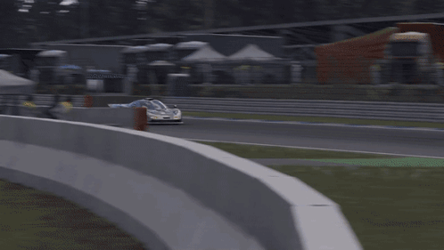 Gray Sports Car Driving