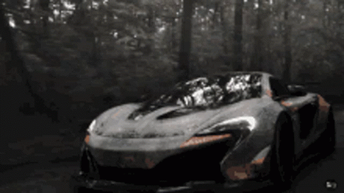Gray Sports Car Driving Through Woods
