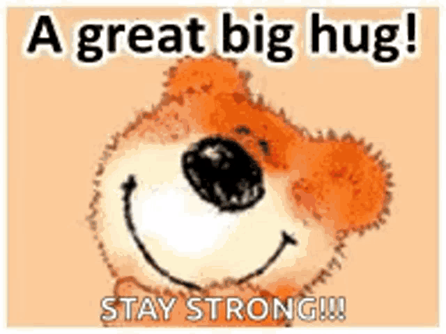 Great Big Hug Stay Strong GIF