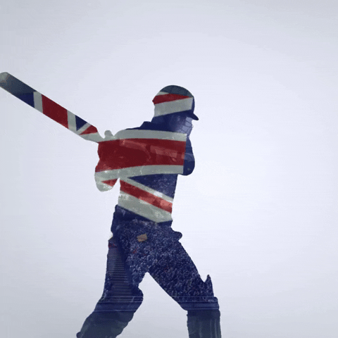 Great Britain Cricket Player GIF