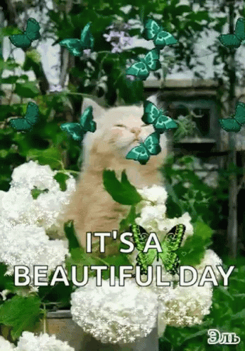 Great Day To Be Alive Poster With Flowers GIF