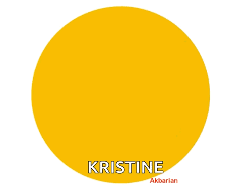 Great Job Kristine Akbarian