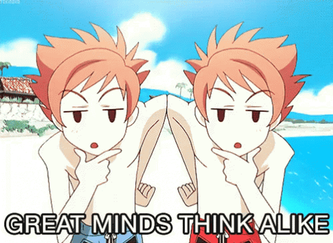 Great Minds Think Alike Kaoru Hitachiin GIF