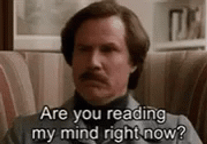 Great Minds Think Alike Will Ferrell GIF