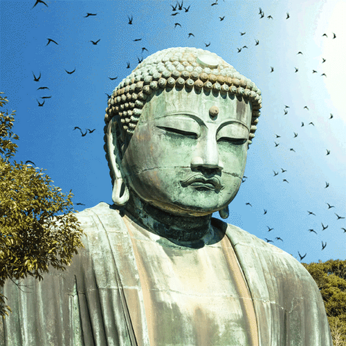 Great Statue Of Buddha Flying Birds Background GIF