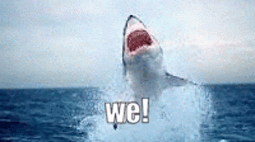 Great White Shark Jumping Out Ocean GIF
