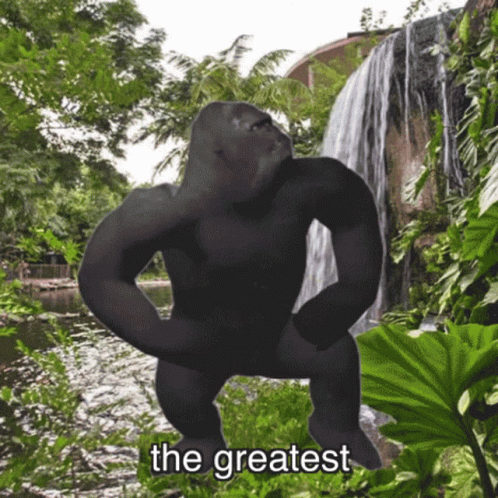 Greatest And Bravest Gorilla Dancing GIF