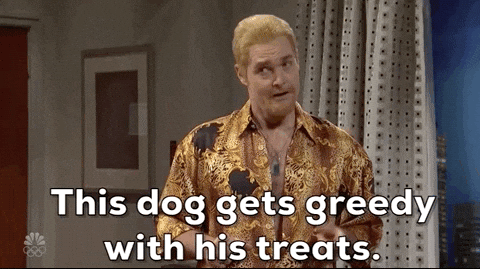 Greedy Boy Dog Gets Greedy With His Treats GIF