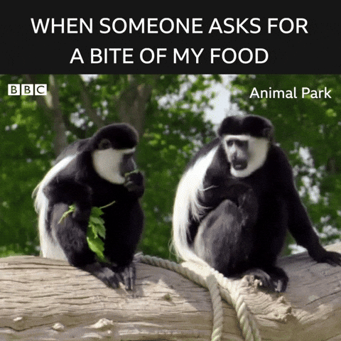 Greedy Monkey When Someone Asks For Food GIF