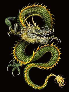 Green and Gold Dragon