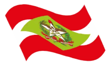 Green and Red Flag with Star and Bird