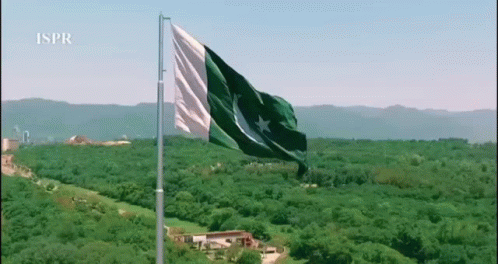 Green And White Flag Flying Over Green Forest GIF