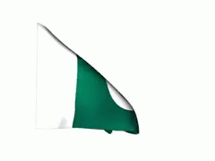 Green and White Flag With Crescent Moon and Star