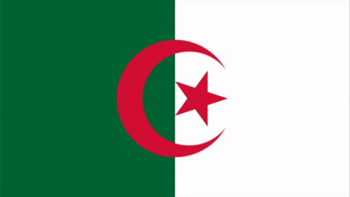 Green And White Flag With Red Crescent And Star GIF