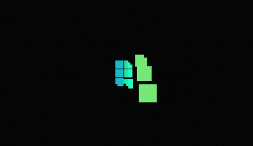Green And White Nin Logo GIF