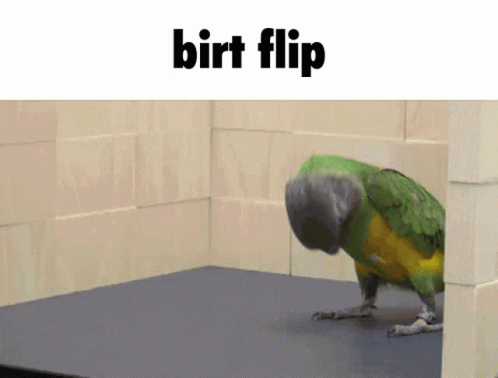 Green And Yellow Bird Flip GIF
