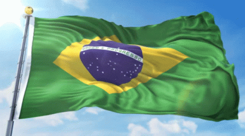 Green And Yellow Flag With Progresso Purple Circle GIF