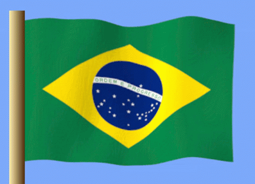 Green And Yellow Ordem & Progress Flag GIF