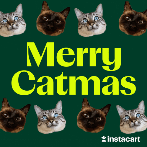 Green Background With Cats and Merry Catmas in Yellow