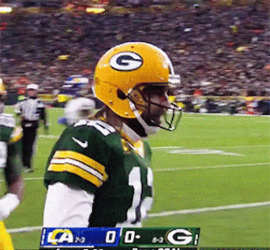 Green Bay Packers Aaron Rodgers Touch Down GIF