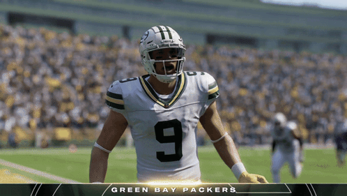 Green Bay Packers Football Player