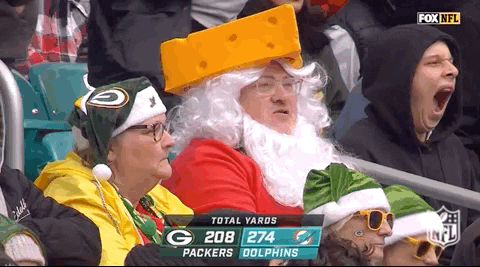 Green Bay Packers Go Pack Go GIF