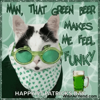 Green Beer Funny Cats Gif GIF