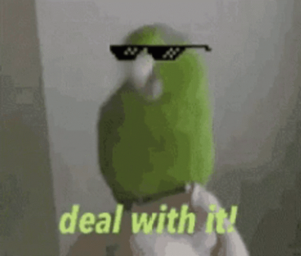 Green Bird Deal With It GIF