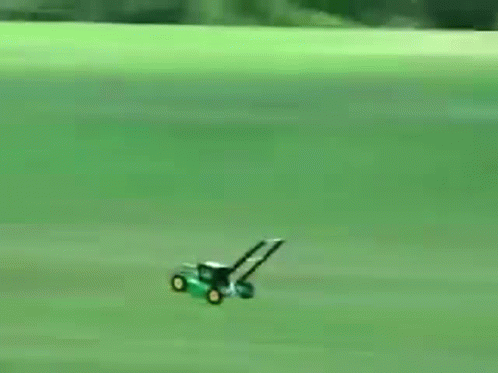 Green Butterfly Flying Over Green Field GIF