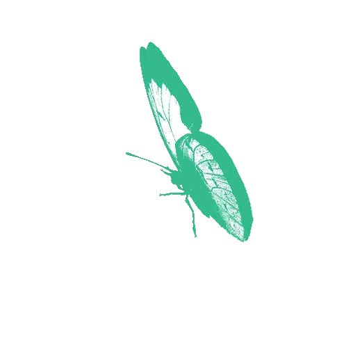 Green Butterfly Flying