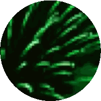Green Circle with Lines