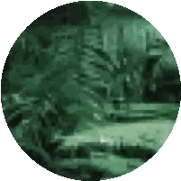 Green Circle With Tree Image